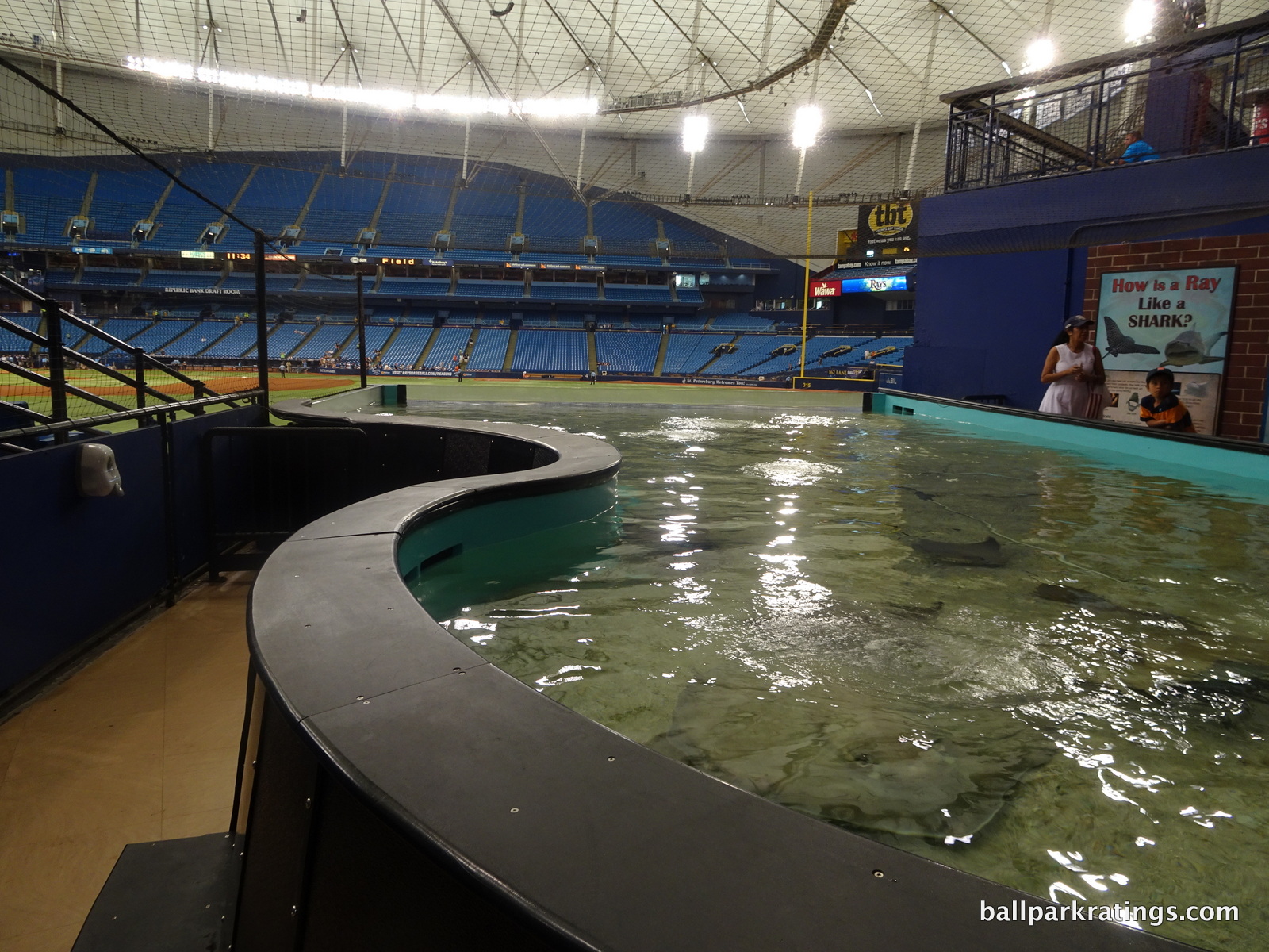 Touching the Rays at Tropicana Field, Florida