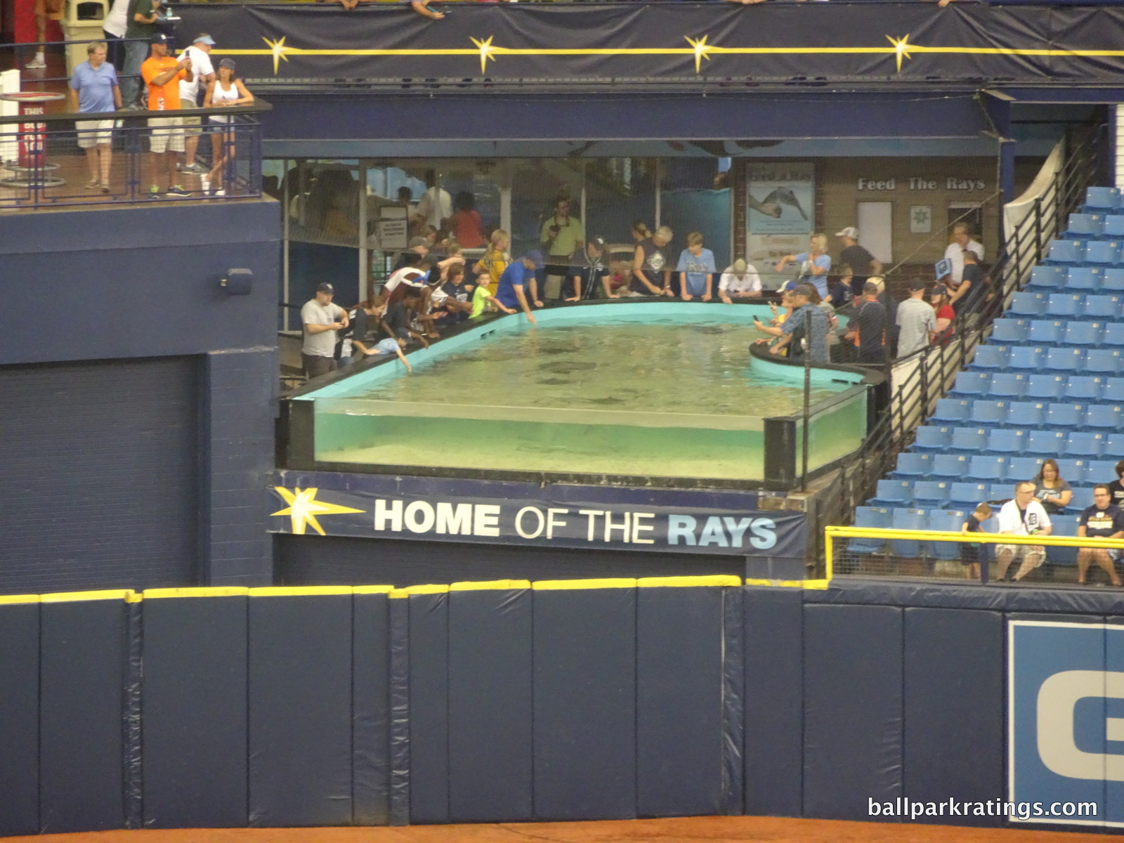 A view of the rays touch tank at Tropicana Field before the game