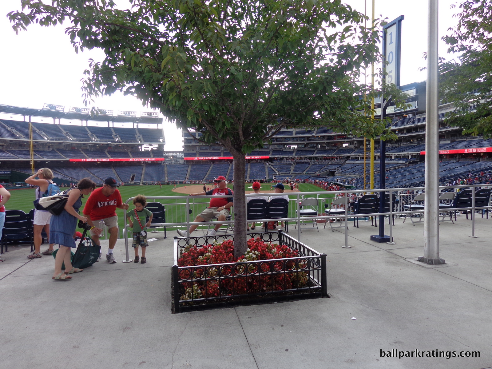 Nationals Park cherry trees