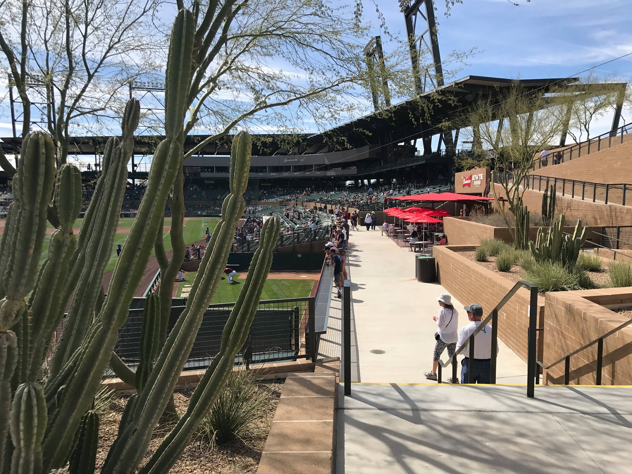 The quality of the landscaping at Salt River Fields is unmatched in spring training, perhaps in all of professional baseball.