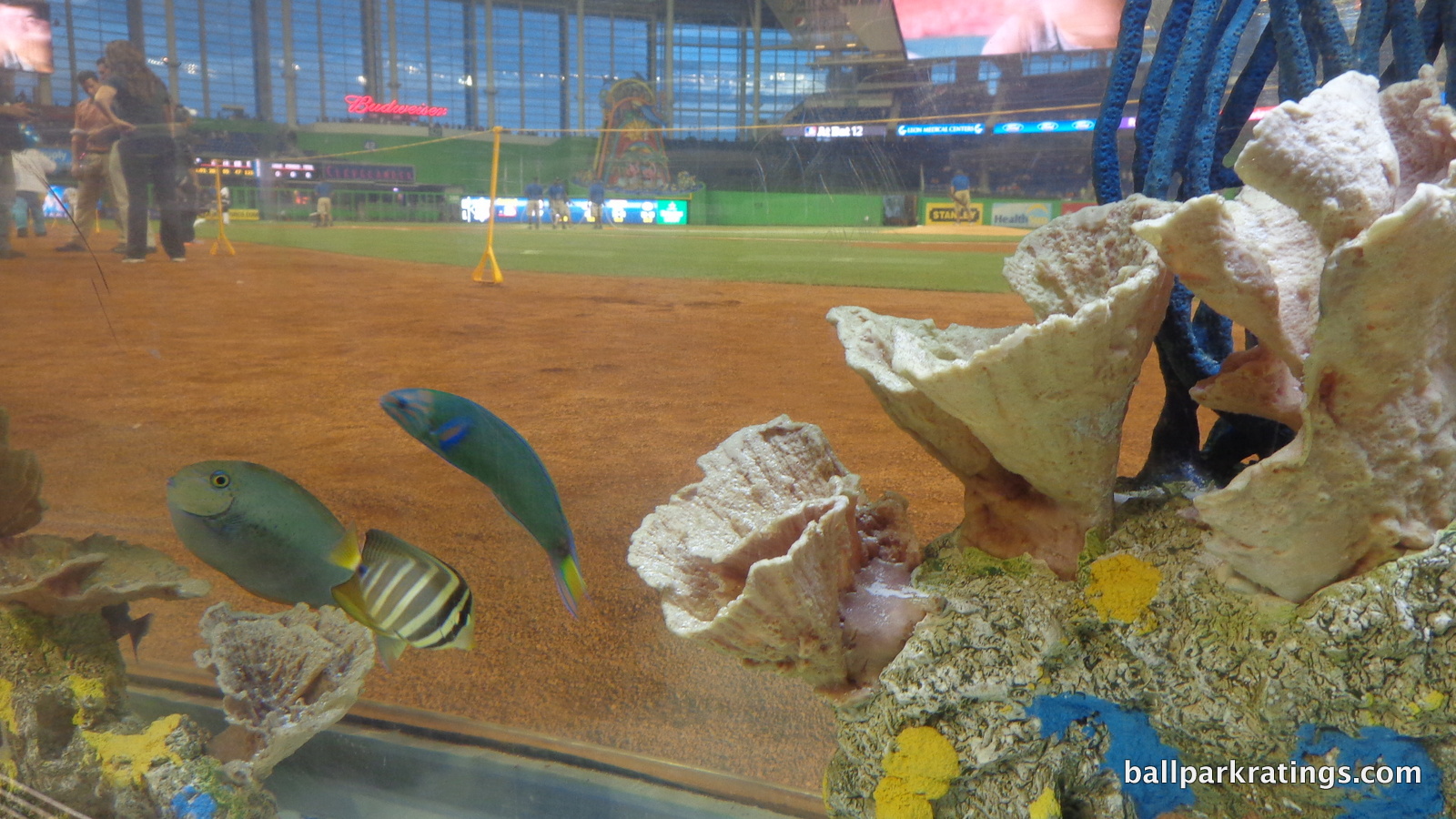 Marlins Park fish tank